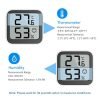 Mini Thermohygrometer